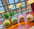 Kawaii Table Lamp with Hidden Compartment